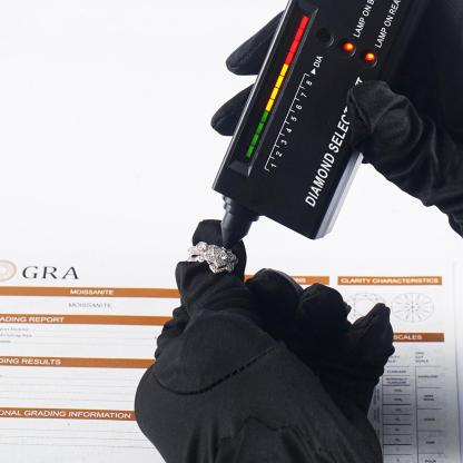 Flora Muse Earrings S925 VVS Synthetic Moissanite Stud