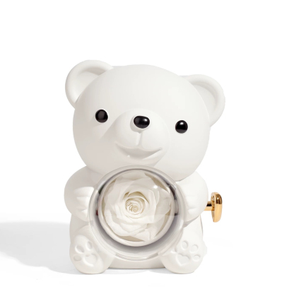 Delzzad Romantic Eternal Rose Cute Hug Bear Jewelry Box - Perfect Valentine's Day Christmas Gift for Her