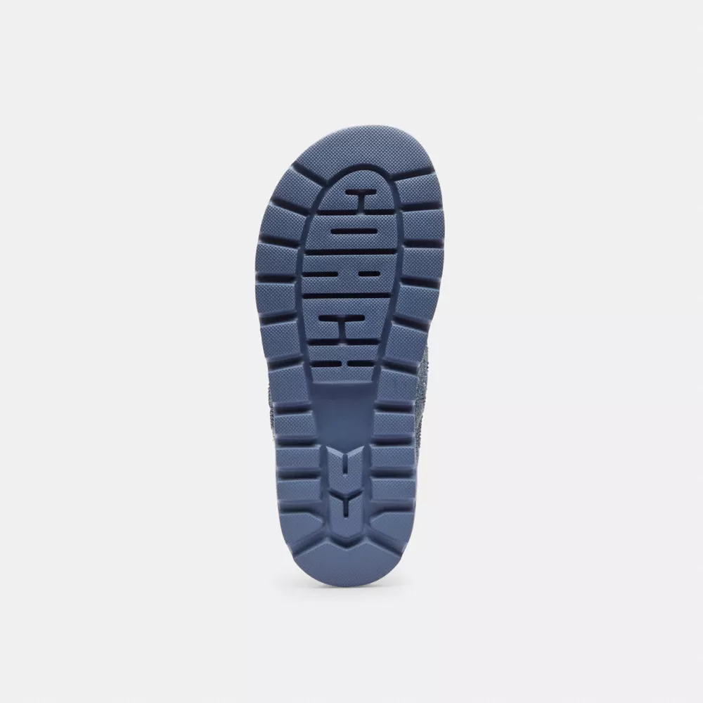 Brynn Thong Sandal In Crystal Signature Denim