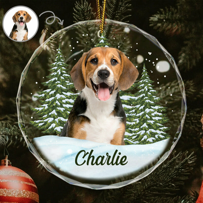 Sotiya Personalized Christmas Ornaments Customized Pet Photos Cute