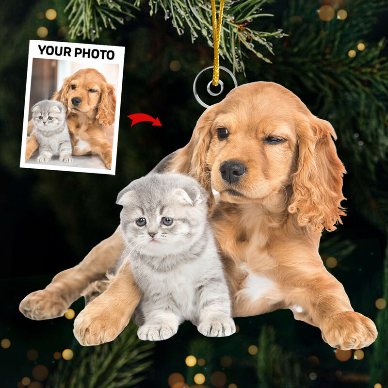 Sotiya Personalized Christmas Decorations With Custom Pet Photos For Pet Lovers-Sotiya