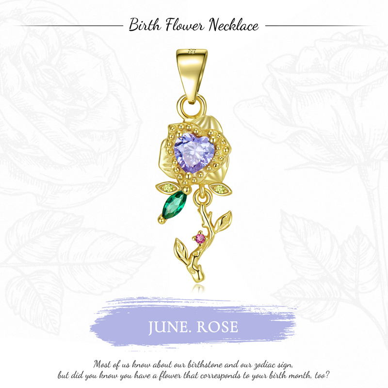 Sotiya Personalized 12 Birthstones Birth Month Flower Necklace Sterling Silver-Sotiya