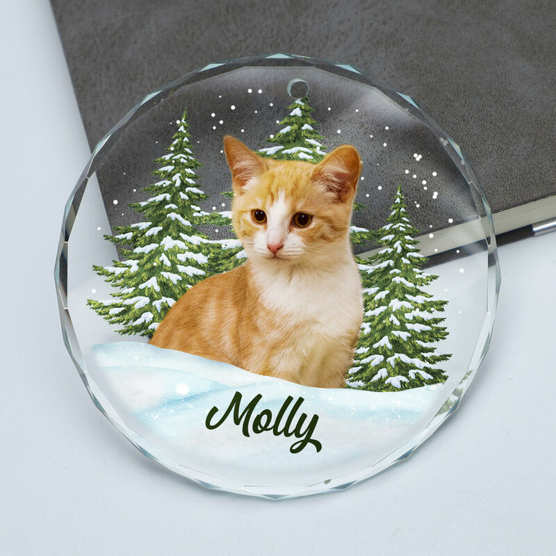 Sotiya Personalized Christmas Ornaments Customized Pet Photos Cute Christmas Gifts-Sotiya