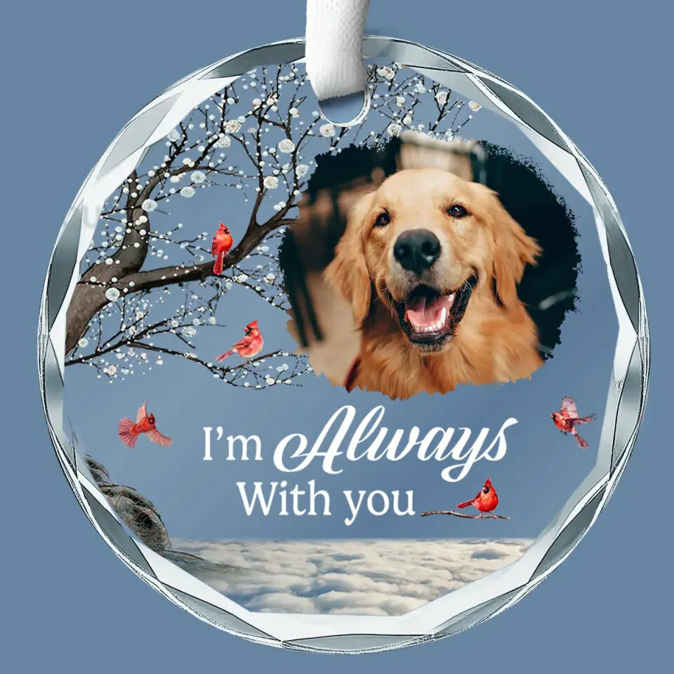 Sotiya Personalized Christmas Ornament Customized Pet Photos Warm Gifts For Pet Lovers-Sotiya