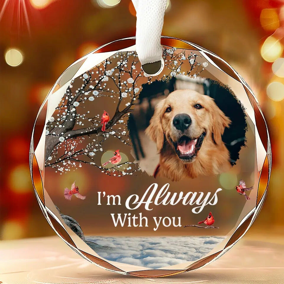 Sotiya Personalized Christmas Ornament Customized Pet Photos Warm Gifts For Pet Lovers-Sotiya