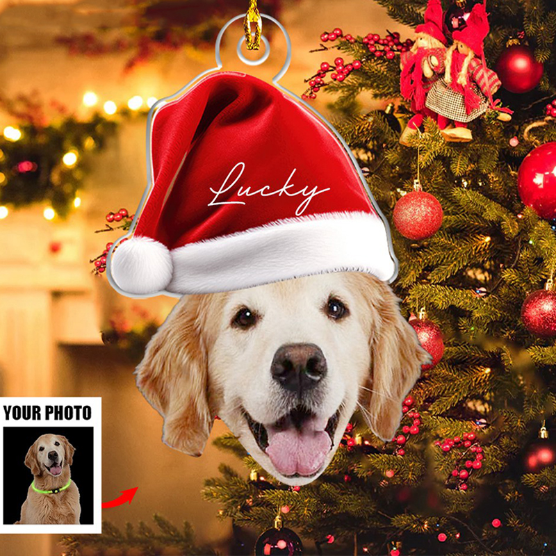 Sotiya Personalized Ornament Customized Pet Photos With Christmas Hats Home Decor-Sotiya