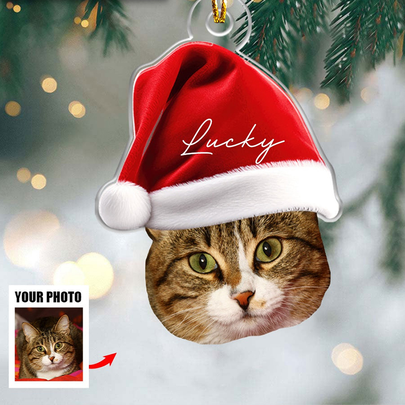 Sotiya Personalized Ornament Customized Pet Photos With Christmas Hats Home Decor-Sotiya