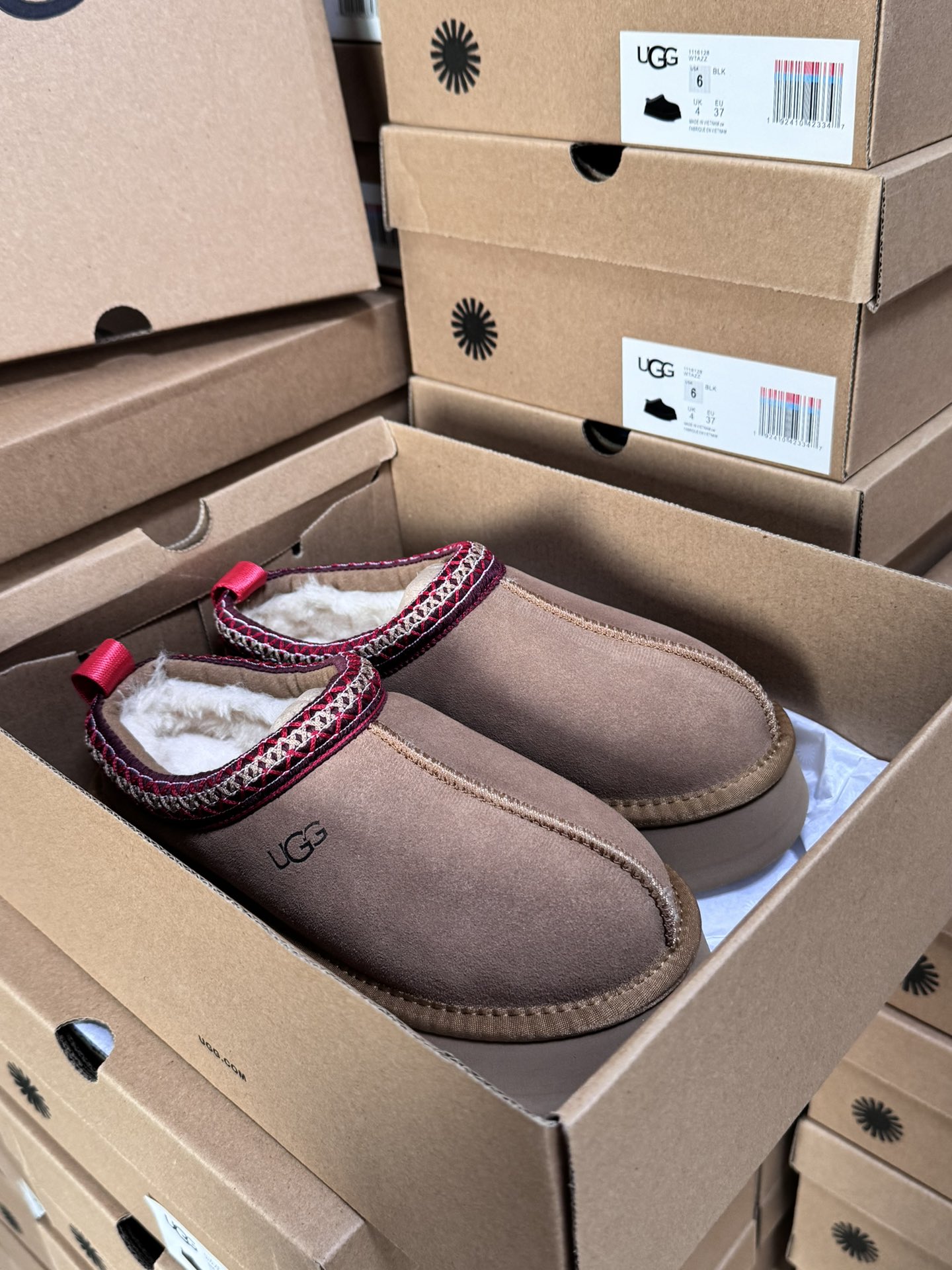 Tasman Slipper Maroon