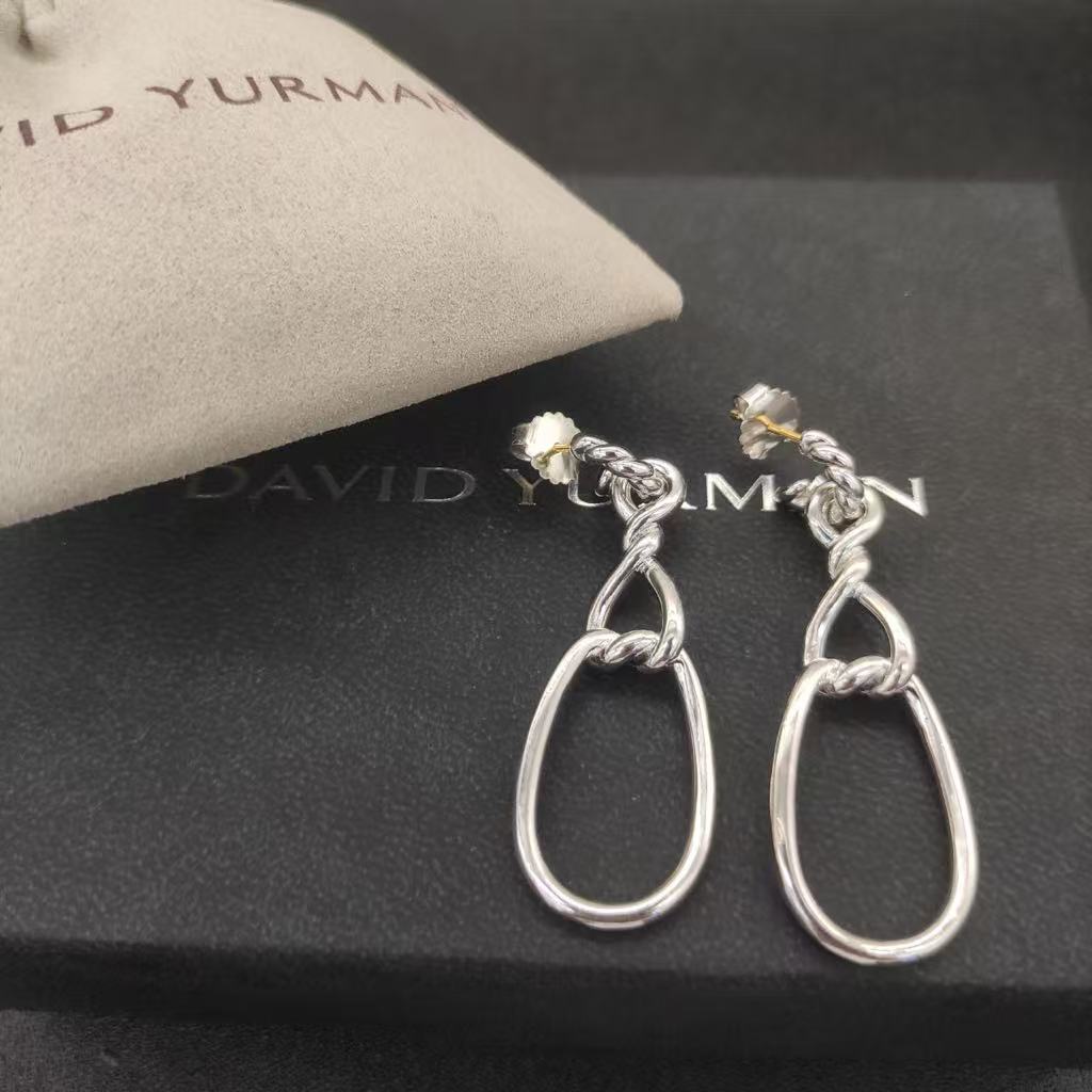 Sculpted Chain Drop Earrings
