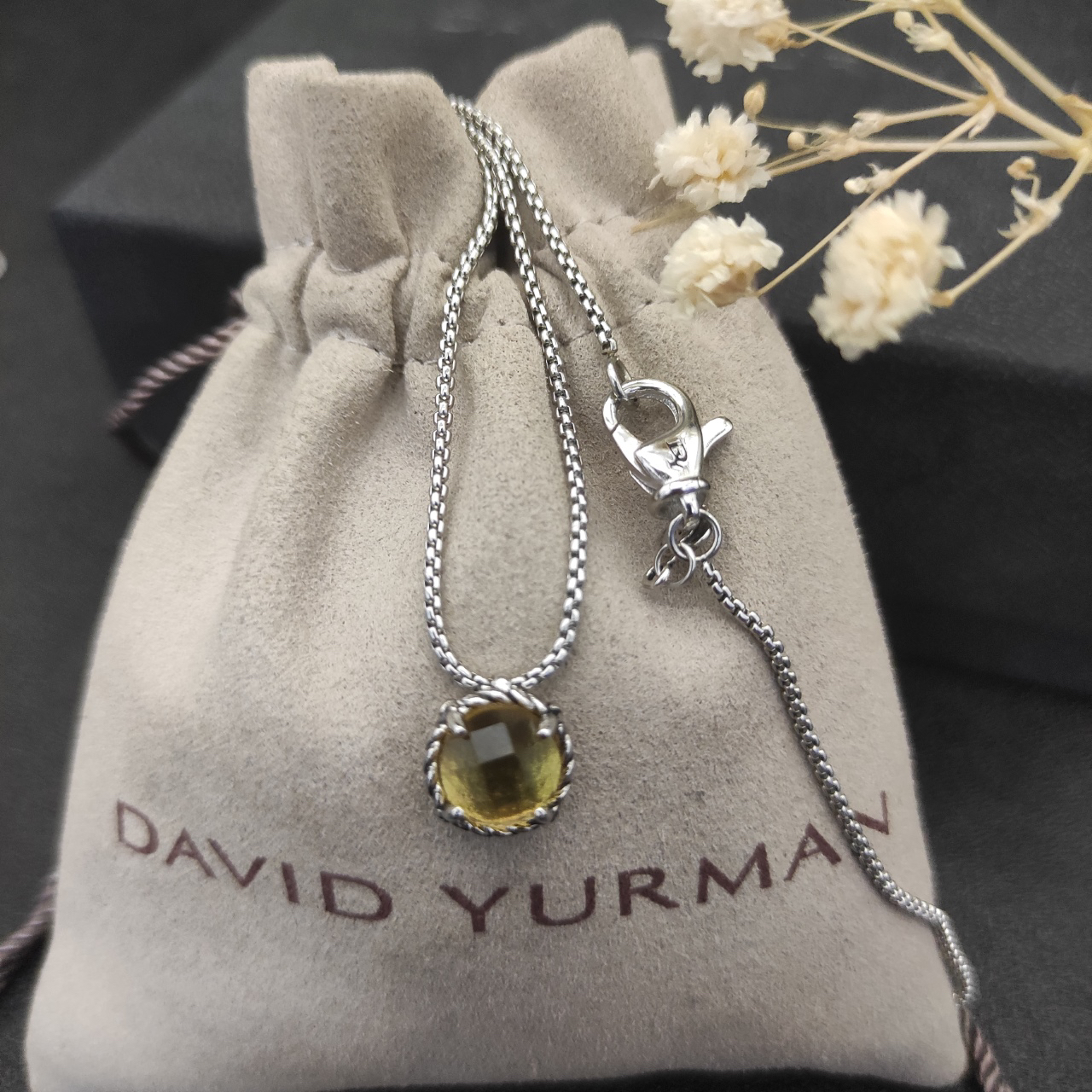 Petite Chatelaine® Necklace Sterling Silver with Citrine, 10mm