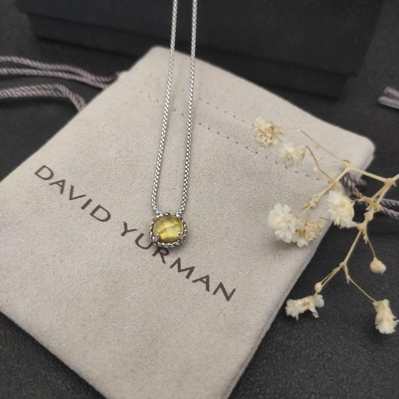 Petite Chatelaine® Necklace Sterling Silver with Citrine, 10mm