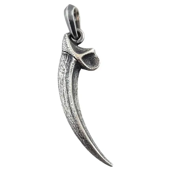 Sterling Silver Eagle Talon Amulet