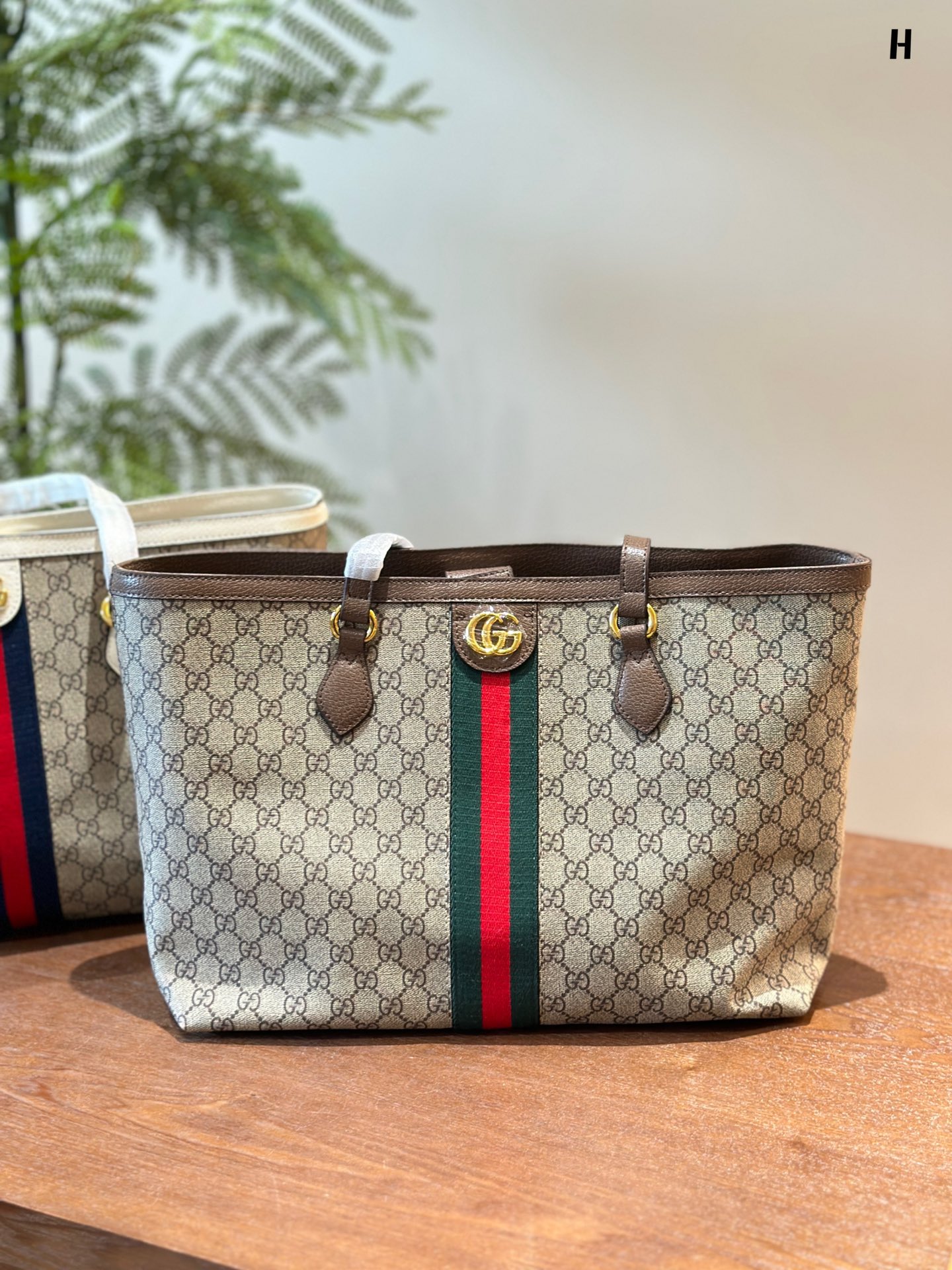 Ophidia medium GG tote