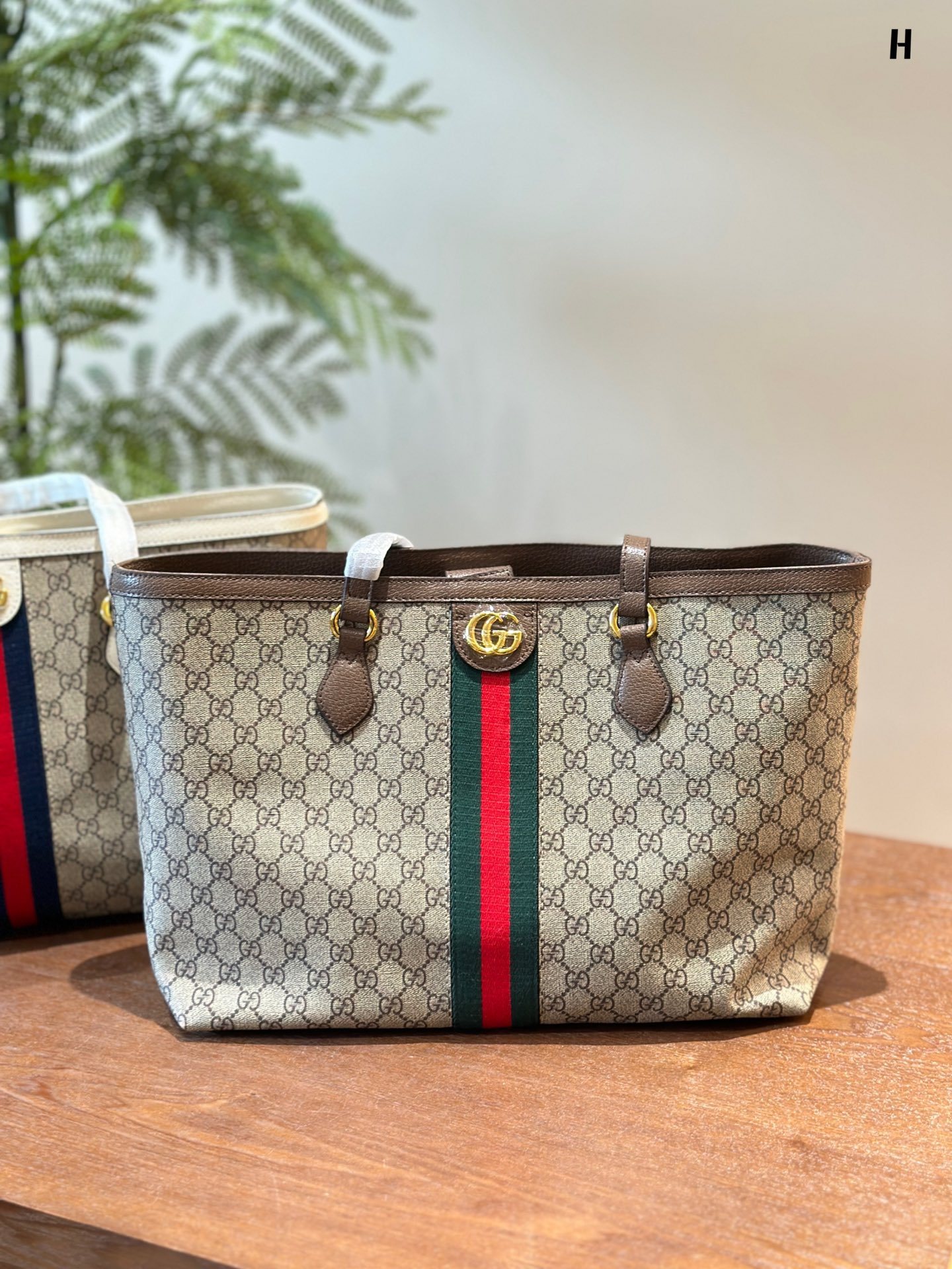 Ophidia medium GG tote