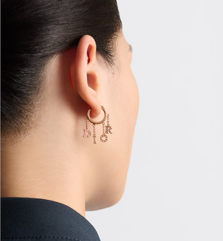 Evolution Earrings