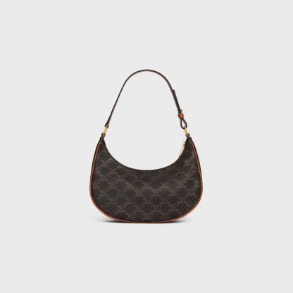 Ava Bag in Triomphe Canvas and calfskin