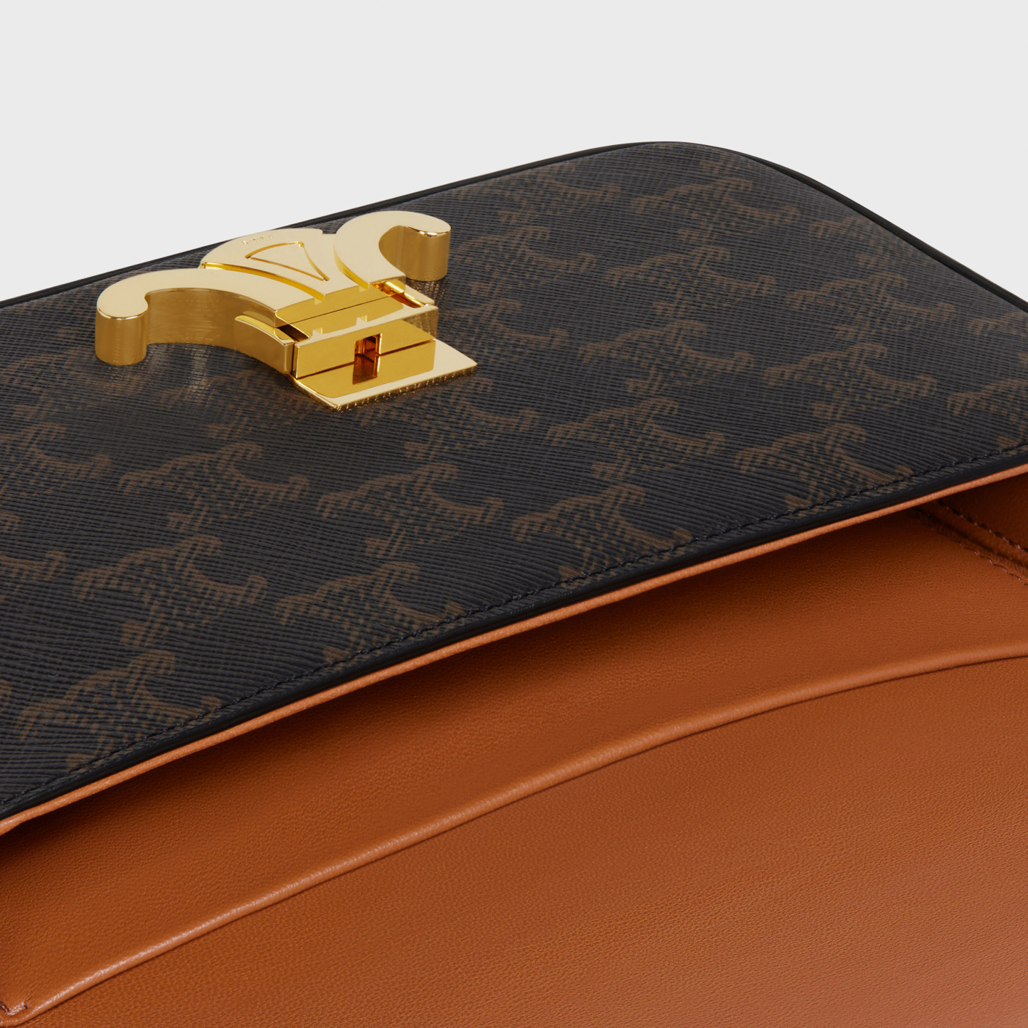 SHOULDER BAG CLAUDE in Triomphe canvas and calfskin