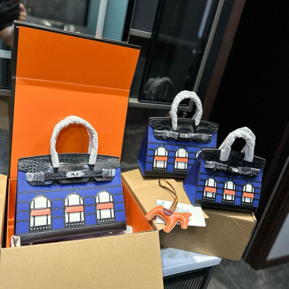 Birkin 20/25/29 Sellier Limited Edition Faubourg Bag with Palladium Hardware