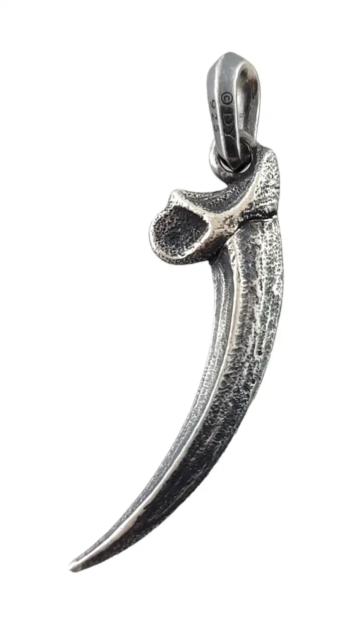 Sterling Silver Eagle Talon Amulet
