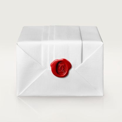 JUSTE UN CLOU NECKLACE