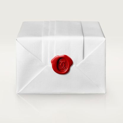 JUSTE UN CLOU NECKLACE