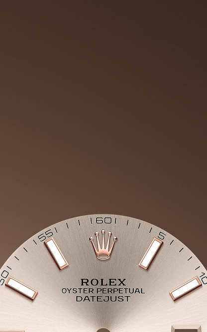 Datejust 41 Oystersteel and Everose gold Ref# 126301-0009