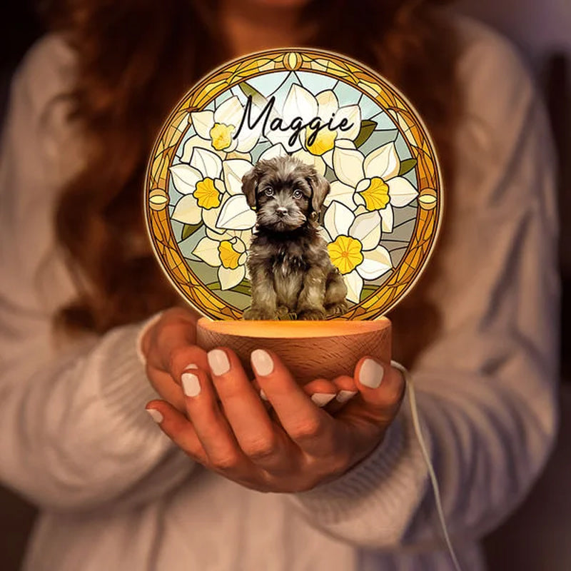 Personalized Acrylic Pet Portrait Birth Flower LED Night Light