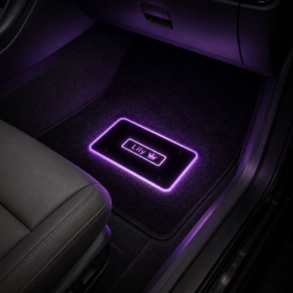 Personalized Passenger Princess LED Car Floor Mat – Custom Name Glow Plate Gift for Girlfriend & Wife