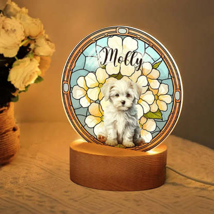 Personalized Acrylic Pet Portrait Birth Flower LED Night Light