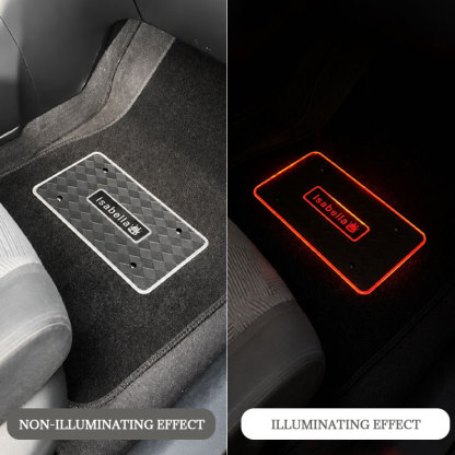 Personalized Passenger Princess LED Car Floor Mat – Custom Name Glow Plate Gift for Girlfriend & Wife