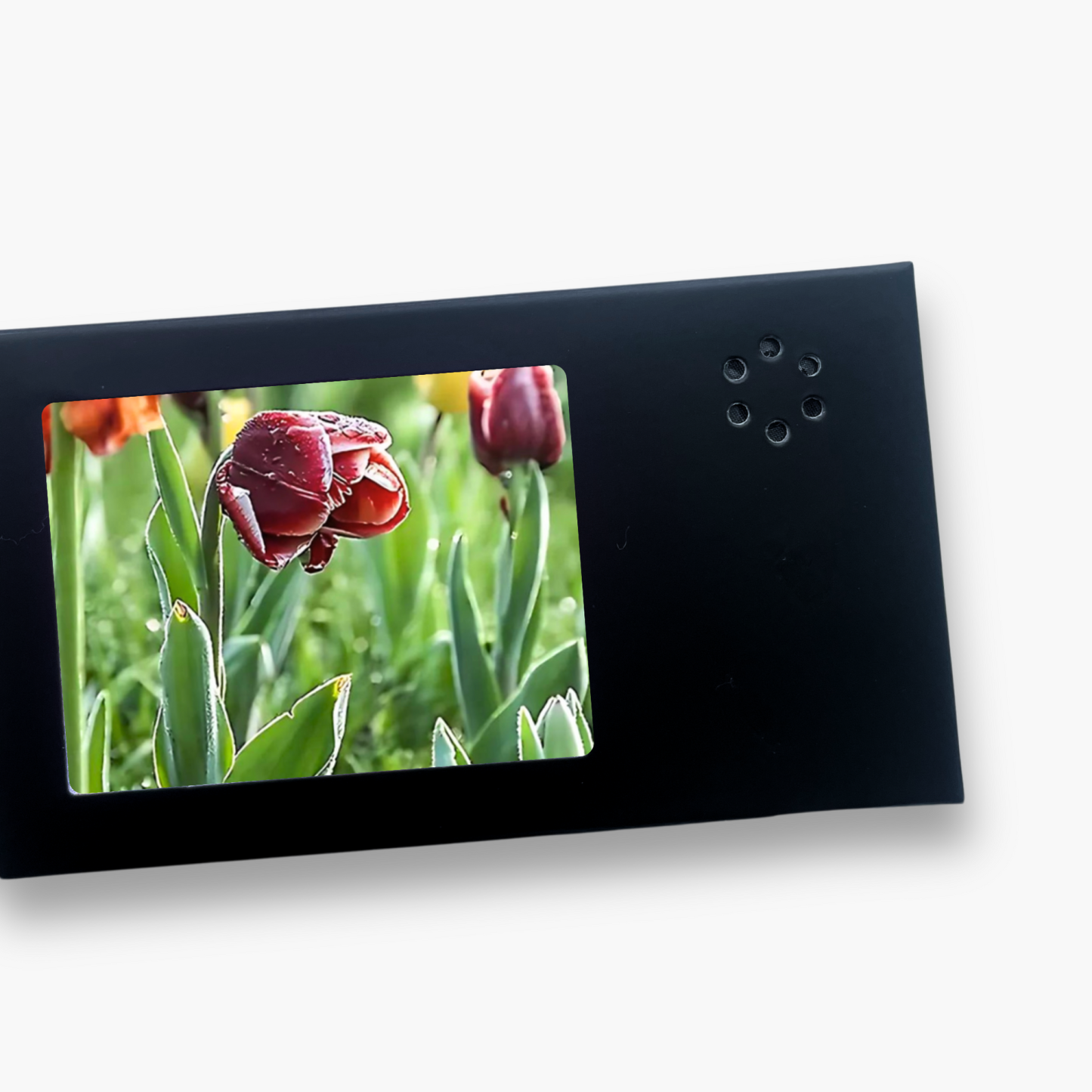 Personalized Video Thank You Cards - Mother's Day, Valentine's Day, Thanksgiving Gifts