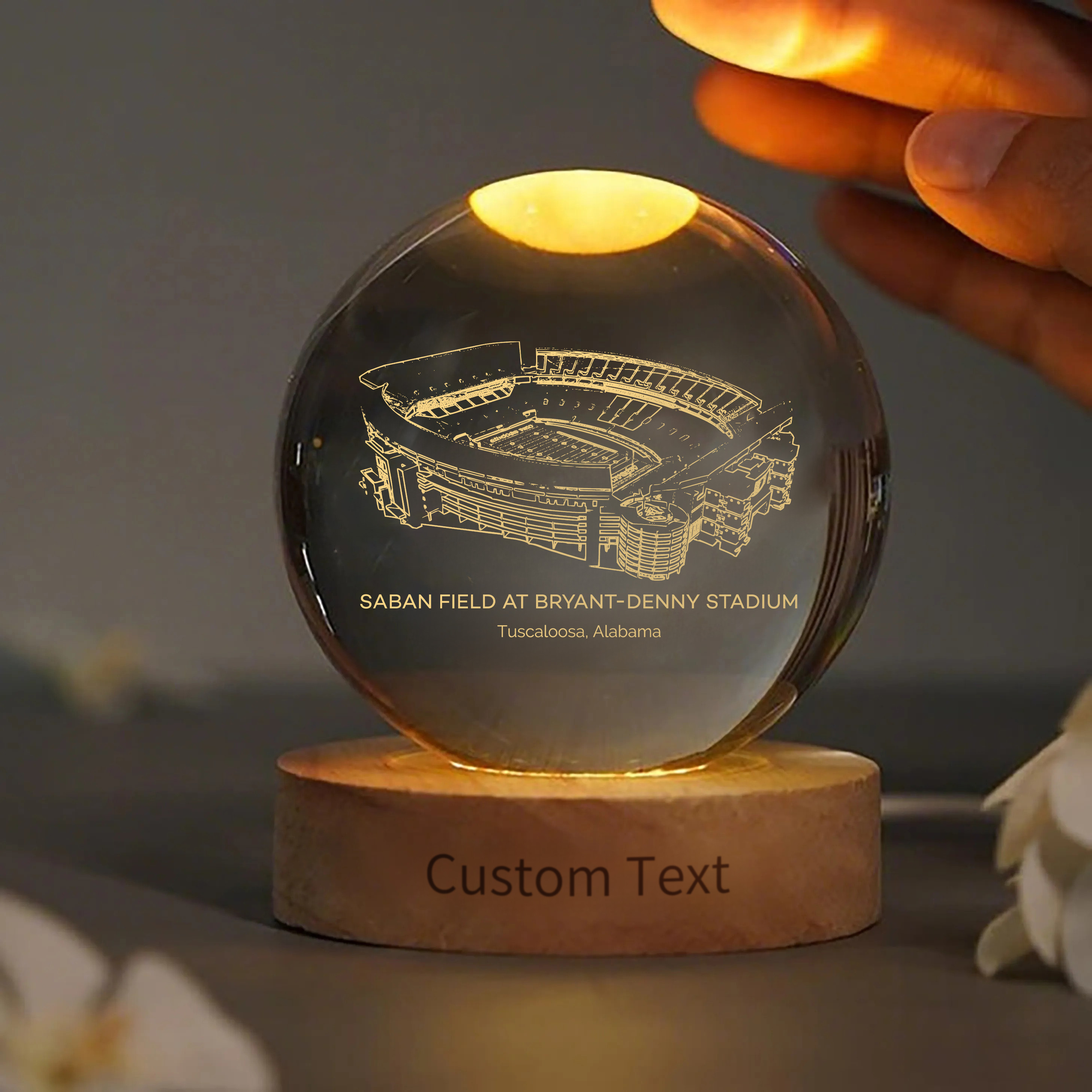Saban Field at Bryant-Denny Stadium 3D Spherical Crystal Ball Lamp