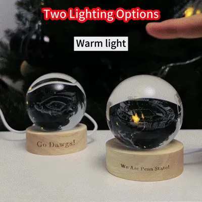 Custom Stadium 3D Spherical Crystal Ball Lamp