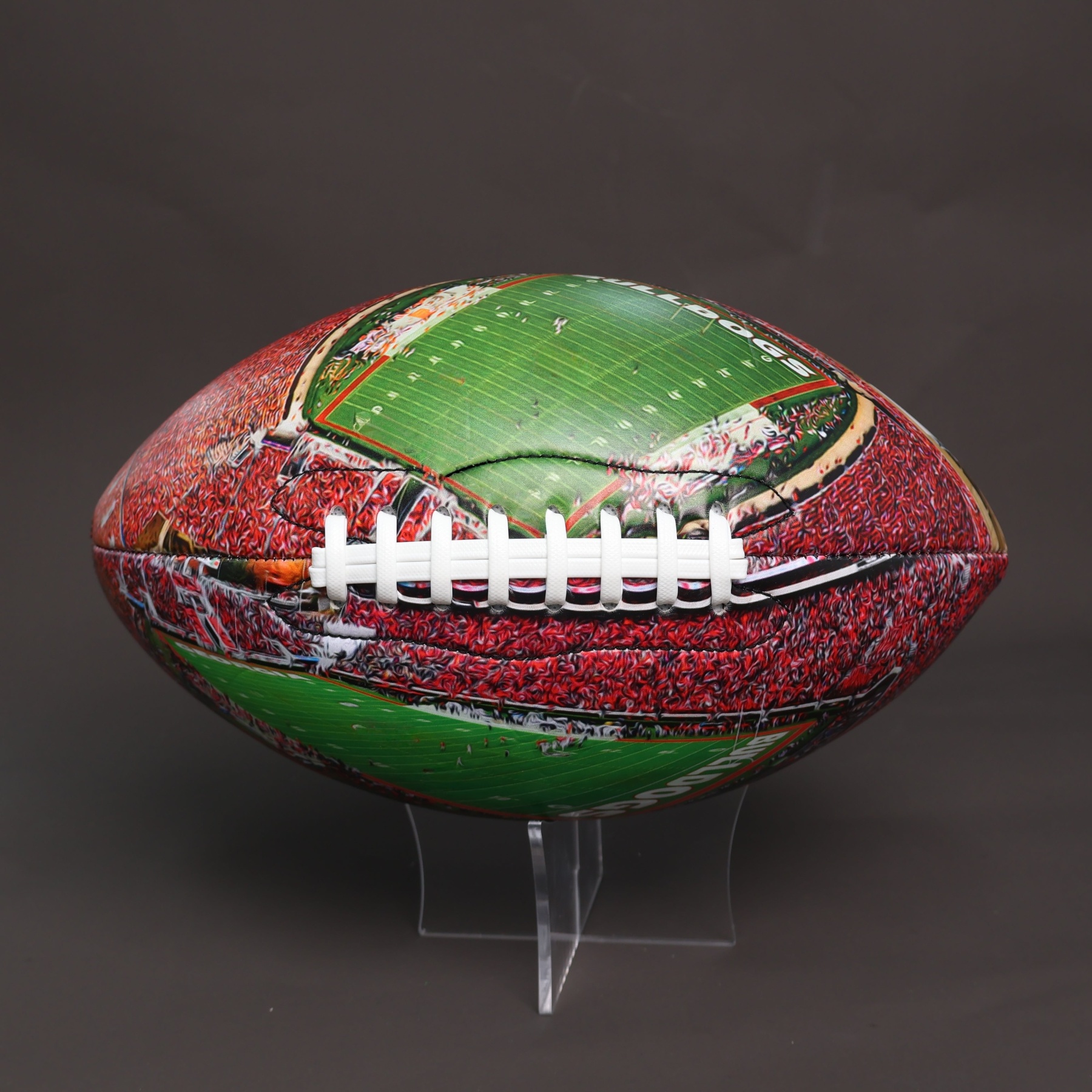 Sanford Stadium Football University Series