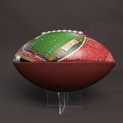 Sanford Stadium Football University Series