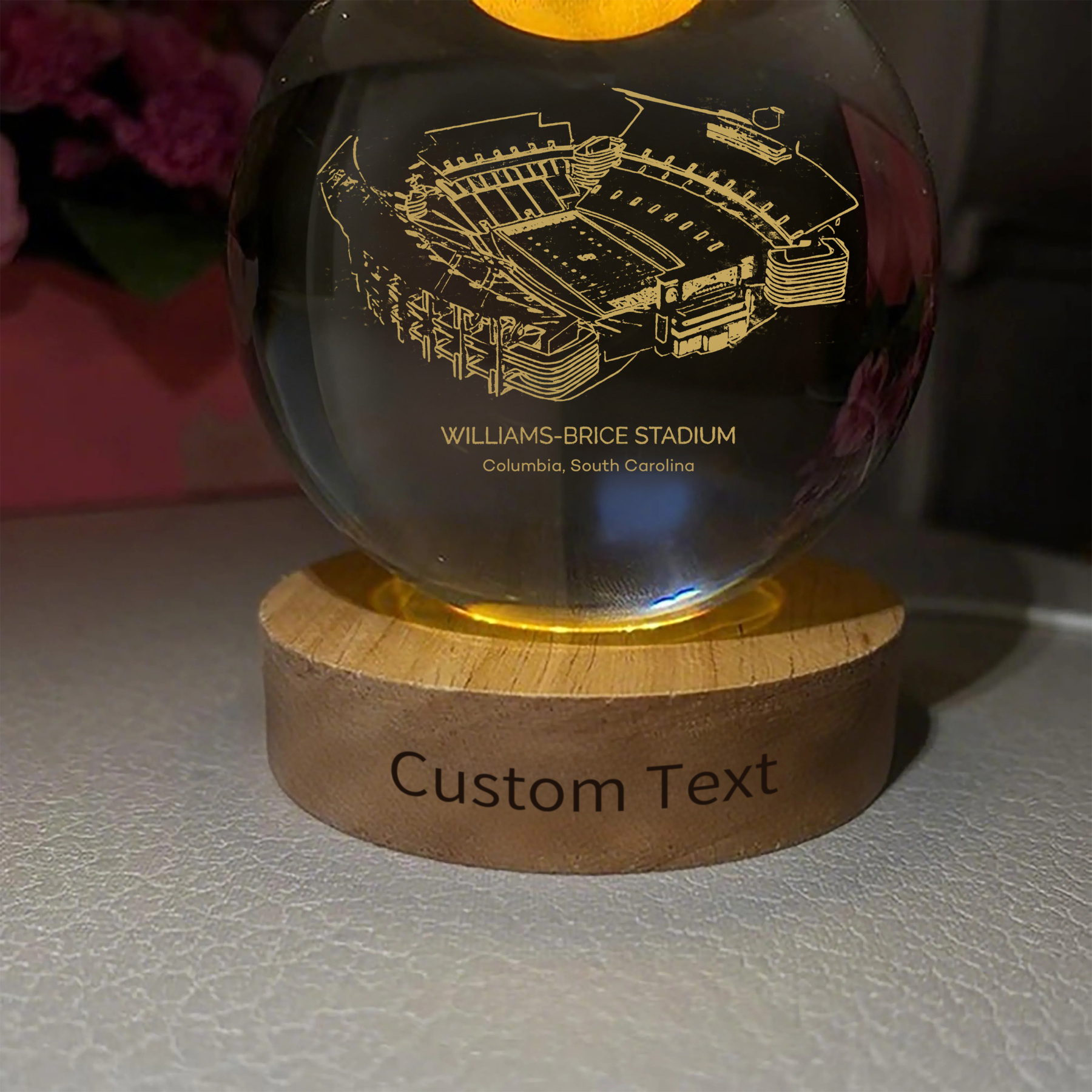 Williams-Brice Stadium 3D Spherical Crystal Ball Lamp