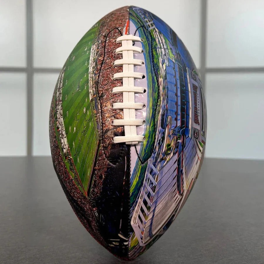 Williams–Brice Stadium University Series （New）