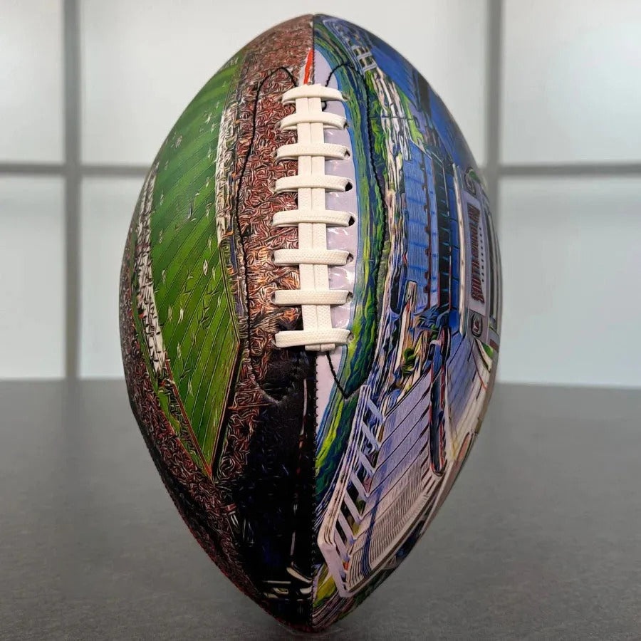 Williams–Brice Stadium University Series （New）