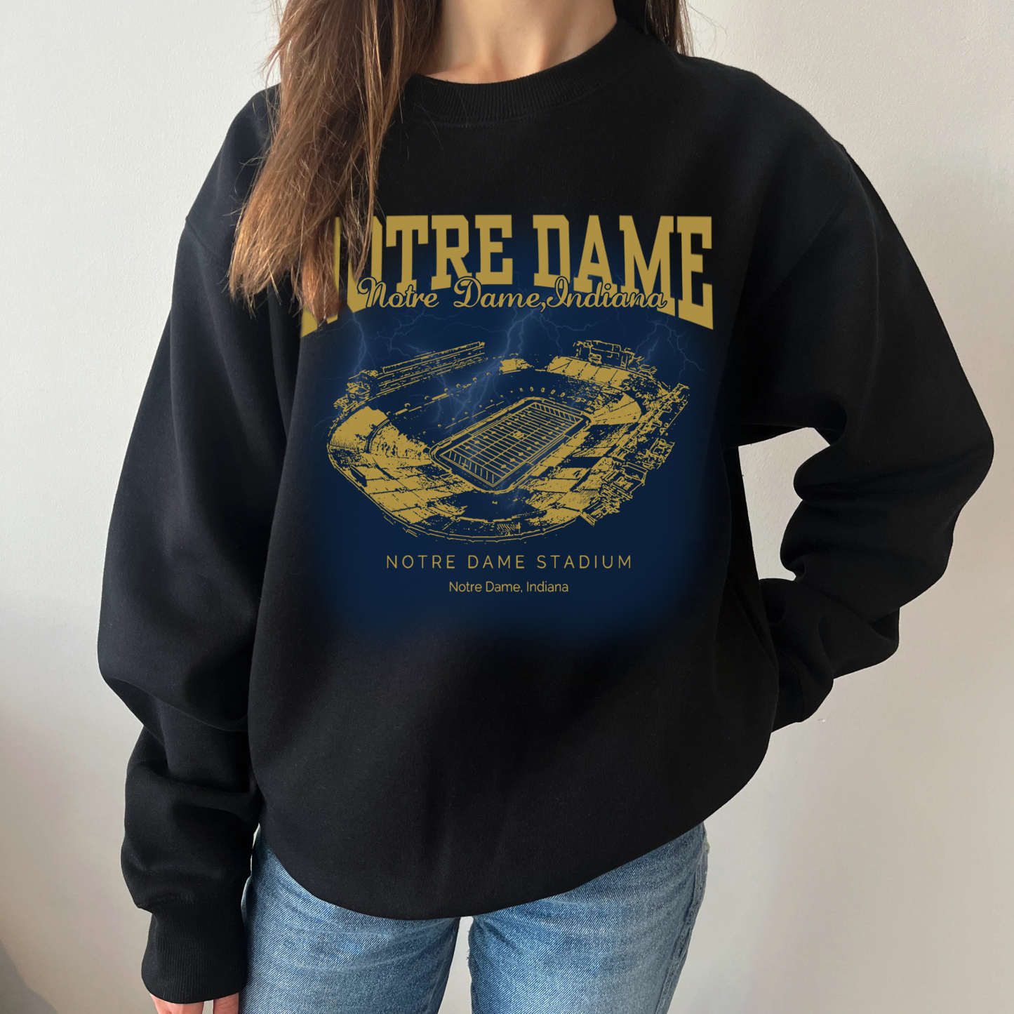Retro Notre Dame Stadium - Notre Dame Fighting Irish football Printing Unisex Crewneck Sweatshirt