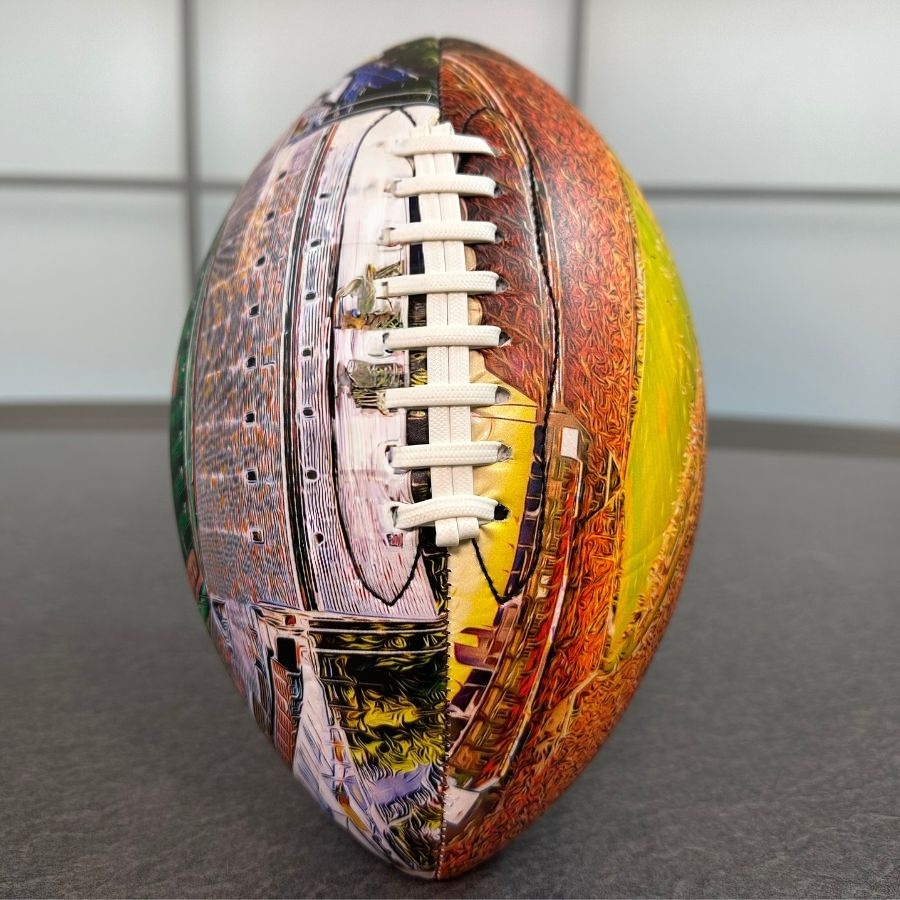 Memorial Stadium (Clemson) Football University Series （NEW)