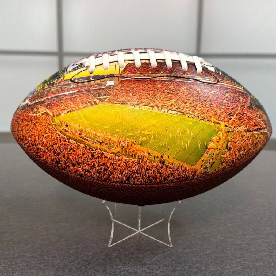 Memorial Stadium (Clemson) Football University Series （NEW)