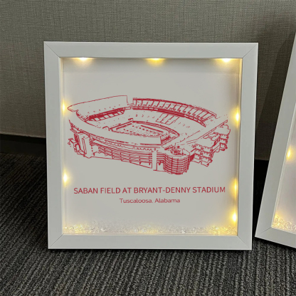 Saban Field at Bryant-Denny Stadium - Alabama Crimson Tide football - University of Alabama at Birmingham Light Frame Box