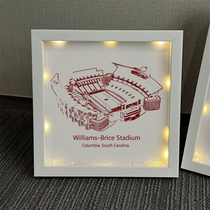 Williams–Brice Stadium - College Football Blanket,South Carolina Gamecocks football Light Frame Box