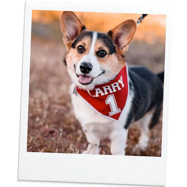 Custom Football Dog bandana, Soccer dog bandana, dog football jersey, sport dog bandana