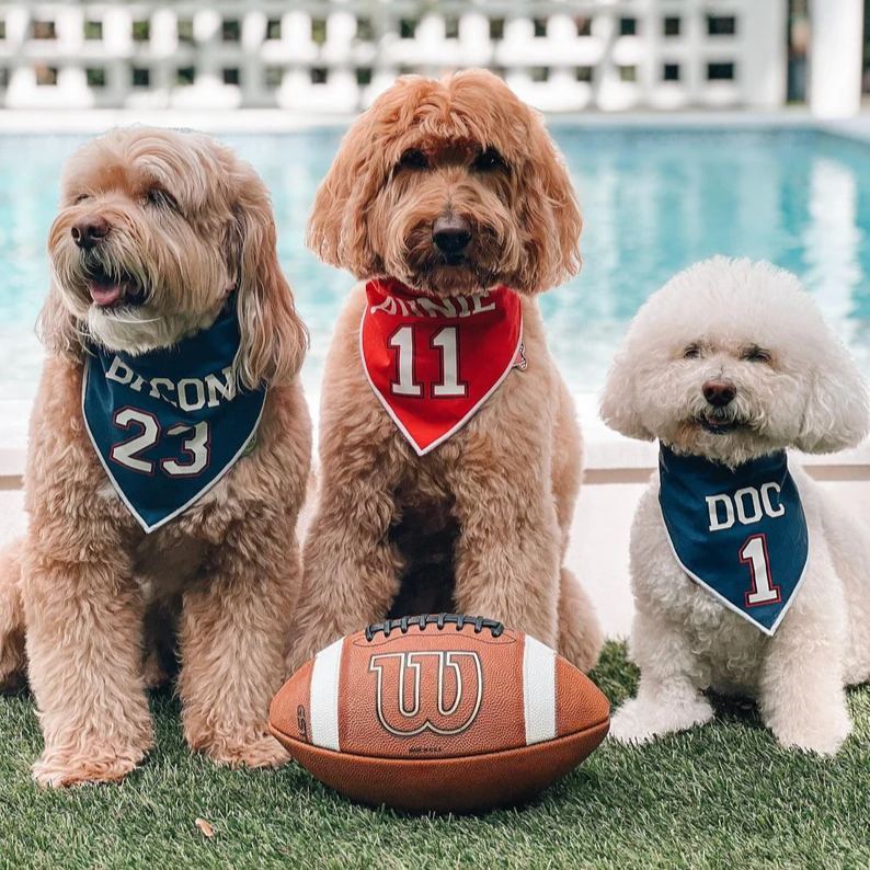 Custom Football Dog bandana, Soccer dog bandana, dog football jersey, sport dog bandana