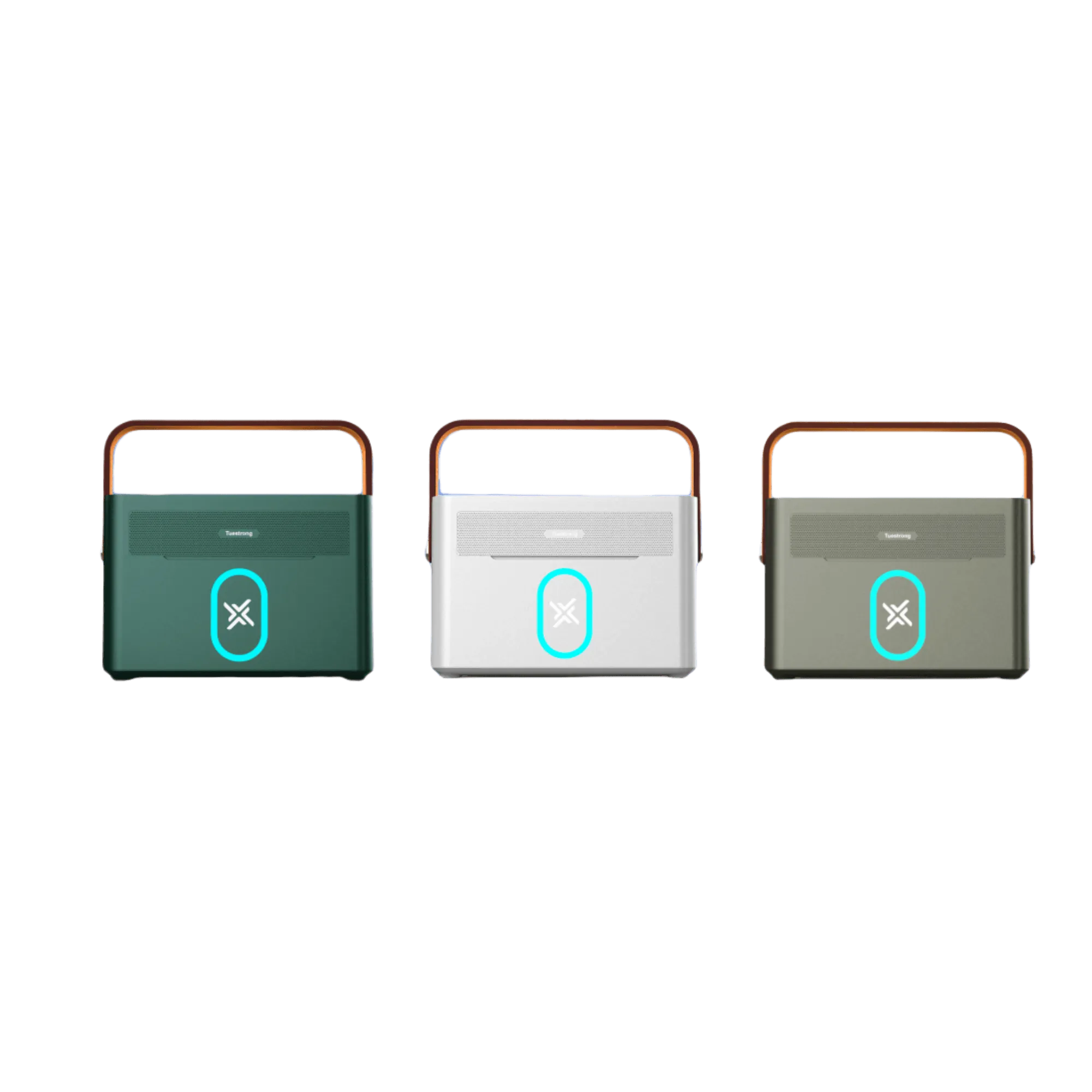 U-Portable smart energy storage