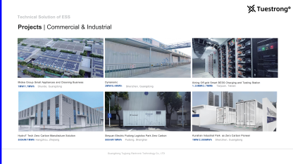 Technical Solution of ESS