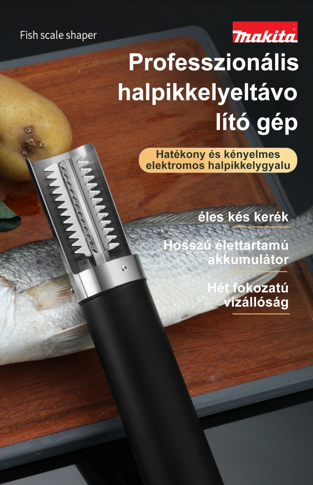1706168534733449.jpg