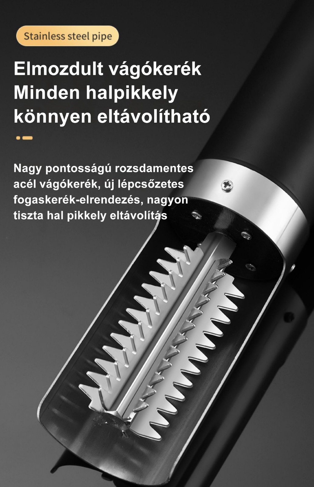 1706168537275226.jpg
