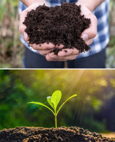 Rich Black Compost Continuously